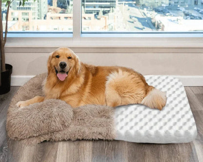SunggleNest™ Pillow